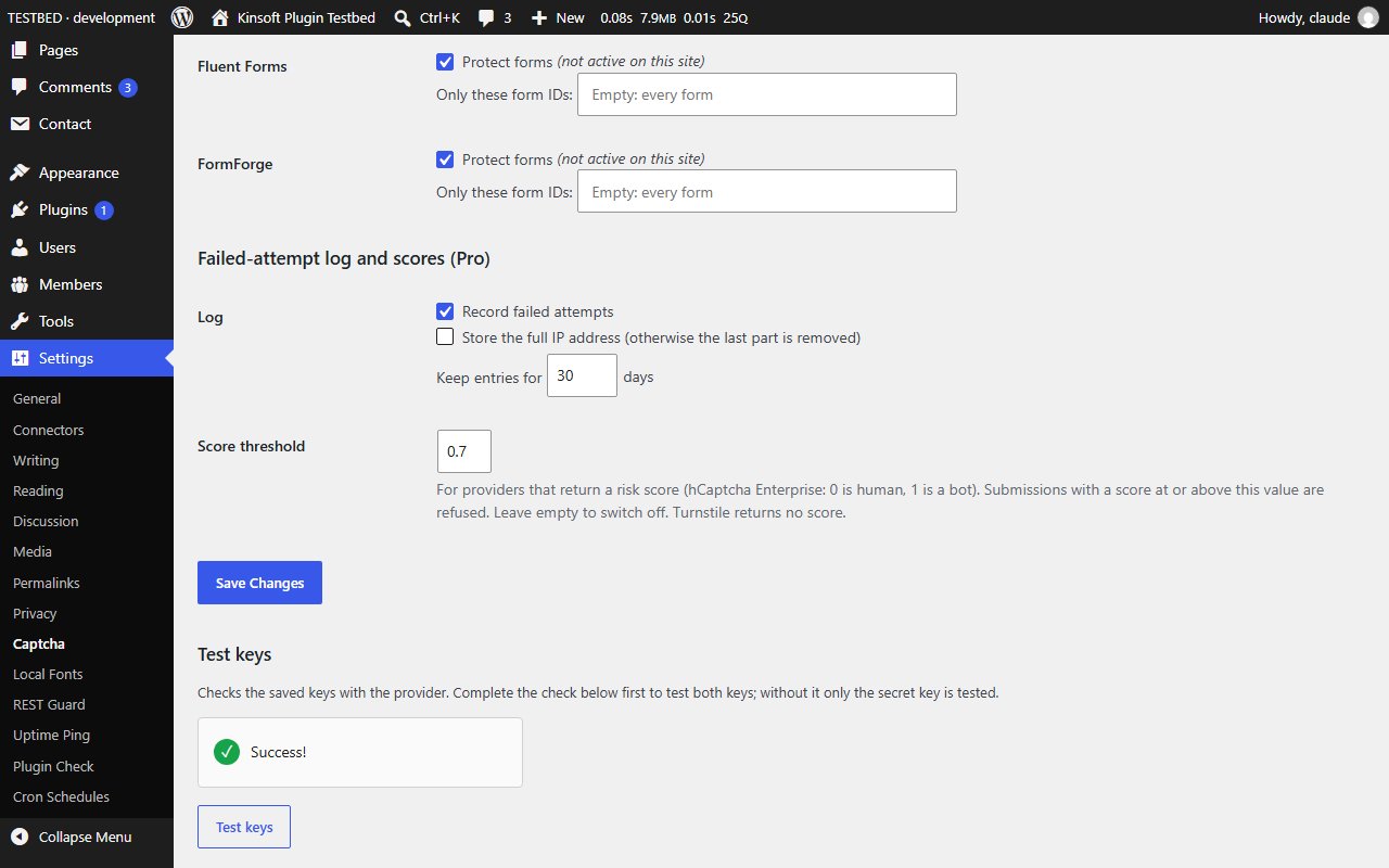 Pro: form plugin switches, the failed-attempt log, the score threshold and the "Test keys" box