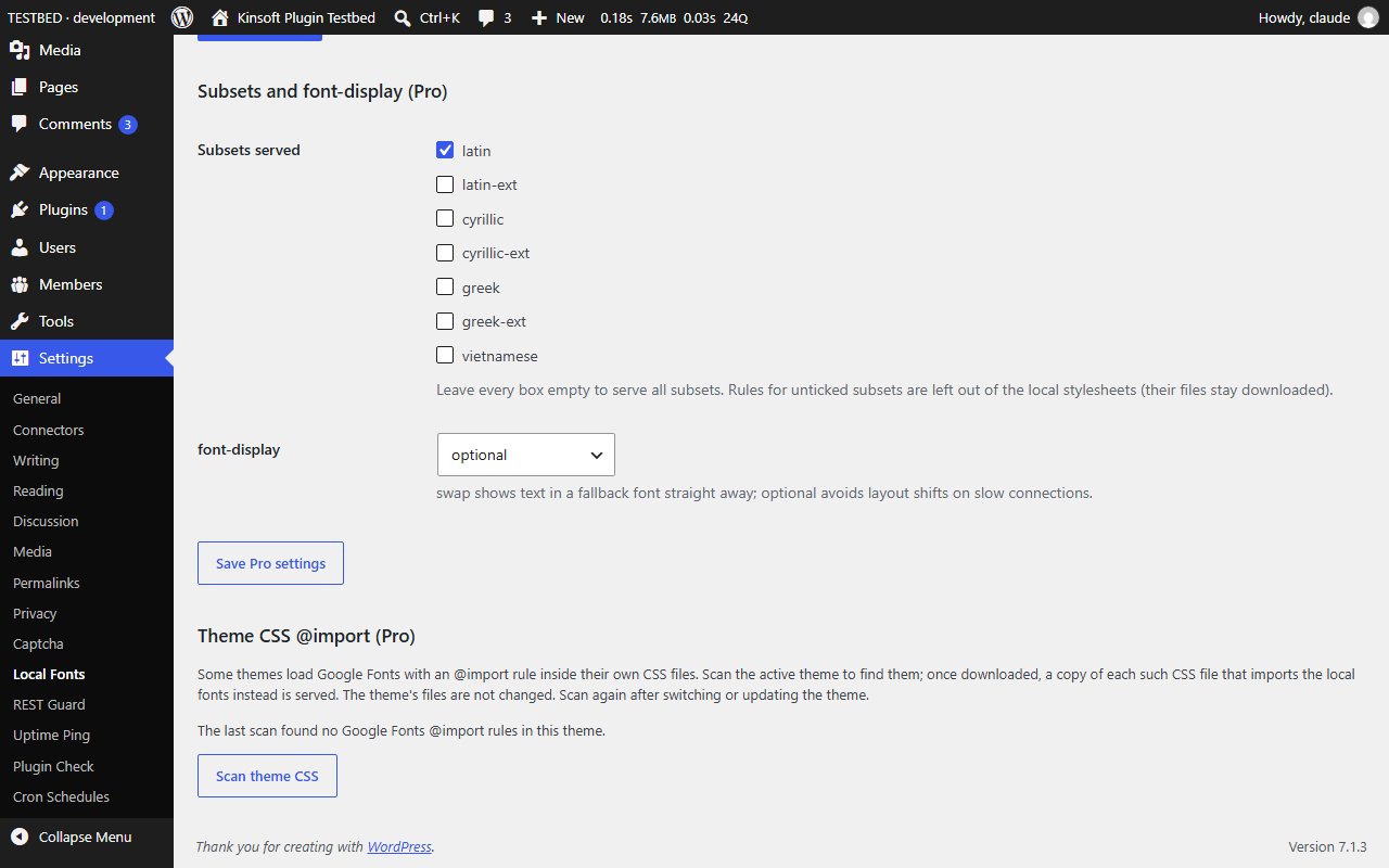 Pro: subset choice, font-display and the theme CSS @import scan