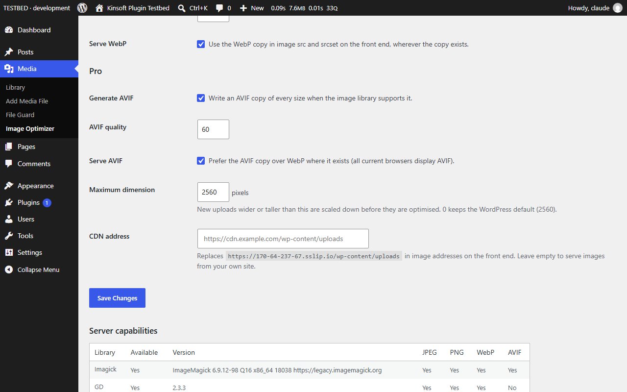 Pro: AVIF copies, maximum upload dimension and CDN address