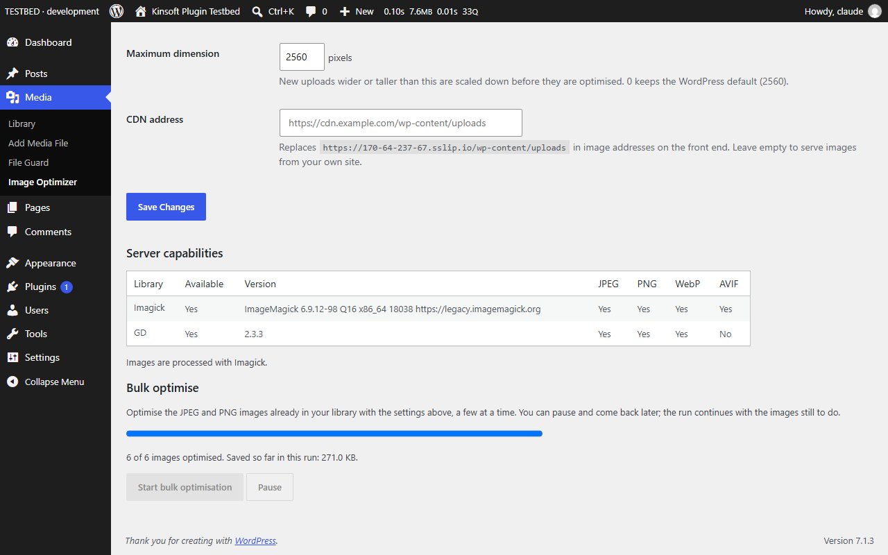 The server capability report and the Pro bulk optimiser after a finished run